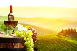 Meyer - Wein Sortiment